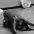 Deloris Austin's profile image