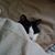 Laurie Sancho Oliver's profile image