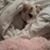 Wanda Anne's profile image