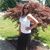 Sumer Haddad's profile image