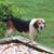 Jerry Ruane's profile image
