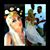Jen Gendason's profile image