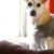 Toby Lee Barnhill's profile image