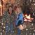 Sarah Cleary Jennings's profile image