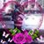 Lau Trejo's profile image