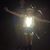 Amanda Broome Ray's profile image