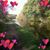 Maria Holt's profile image