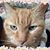 Maria Remy's profile image