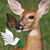 Mary Franklin's profile image