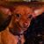 Mia Kelli Hodges's profile image
