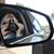 Samantha Ann Walker's profile image
