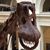 Phyliss Sunken's profile image