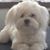 Susie Crede's profile image