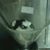Kiley Wright's profile image