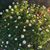 Debbie Robare-Bechtel's profile image