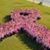 Christine Jones's profile image