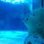 Geoffrey Catchings's profile image