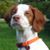 Cathie Zak's profile image