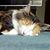 Linda Mastro Watko's profile image