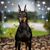 Trina Taylor-Ghione's profile image