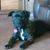 Sue Ann Vaughn's profile image