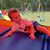 Jennifer Walters- Lindgren's profile image