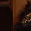 Bonnie B.'s profile image
