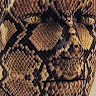 Art M.'s profile image