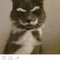 R M.'s profile image