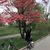 Sally Zheng's profile image