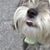 Mary Bagen's profile image