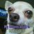 Michael Mullikin's profile image