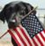 Jeff Mueller's profile image