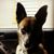 Angel Garcia's profile image