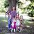 Janet Schaeffler's profile image