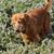 Rick Mathiasen's profile image