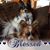 Sheri Downey's profile image