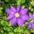 Mary Scipione's profile image
