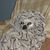 Tony Pitzer's profile image