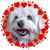 Terry Kaylin Smith's profile image