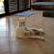 Angie Fahme Martin's profile image