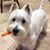 Peeps Brockmann's profile image