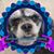 Toni McWatters's profile image