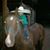 Hector Molina's profile image