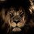 Jonah Dosher's profile image