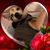 Sherri Kalil's profile image
