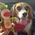 Mallory Anderson's profile image