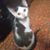 Charles Davis's profile image
