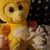 Tonii-Macaela Brazier's profile image