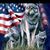Tommy Scogin's profile image